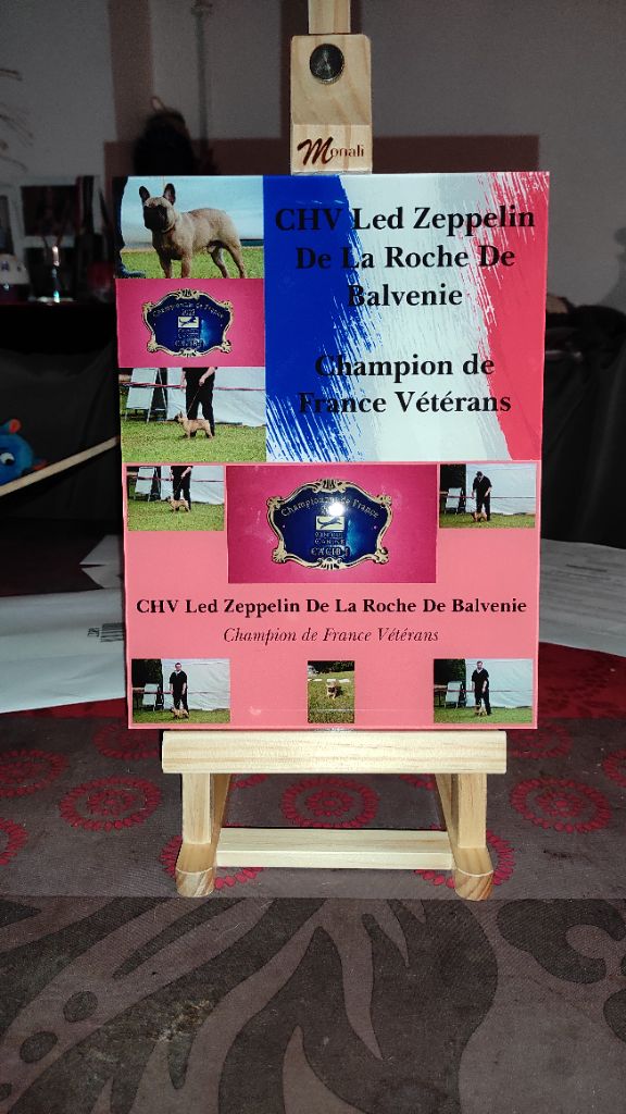 Led Zeppelin Champion de France Vétérans CHV